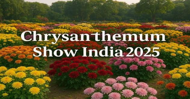 Chrysanthemum Show India 2025