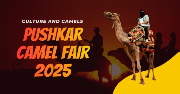 Pushkar Camel Fair 2025